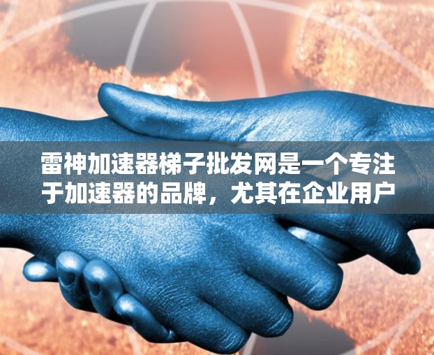 雷神加速器梯子批发网是一个专注于加速器的品牌，尤其在企业用户群体中备受推崇。以下是对该品牌的详细分析