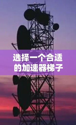选择一个合适的加速器梯子是一个复杂的问题，需要综合考虑多个因素。以下是基于以上思考过程的建议