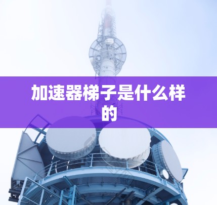 加速器梯子是什么样的