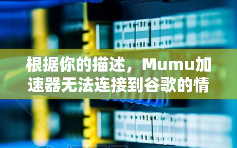 根据你的描述，Mumu加速器无法连接到谷歌的情况下，以下是逐步的解决方案