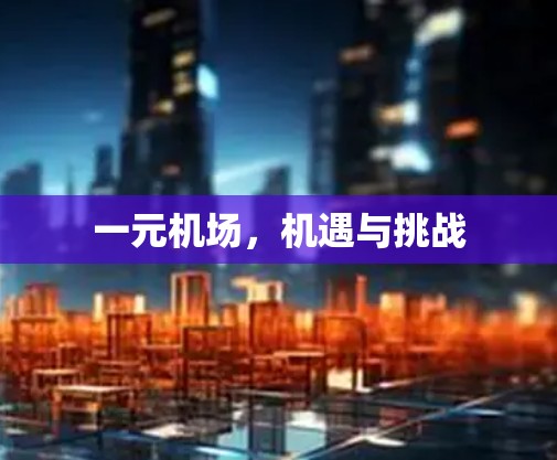 一元机场，机遇与挑战