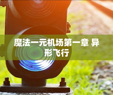 魔法一元机场第一章 异形飞行