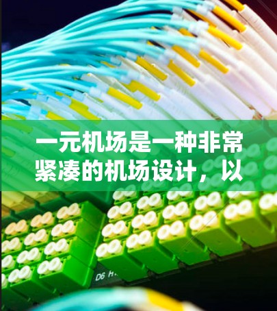 一元机场是一种非常紧凑的机场设计，以其低空高度和高效的运营效率著称。以下是对一元机场的详细介绍