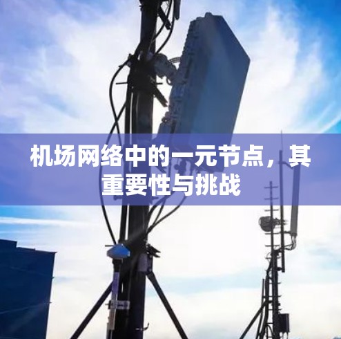 机场网络中的一元节点，其重要性与挑战