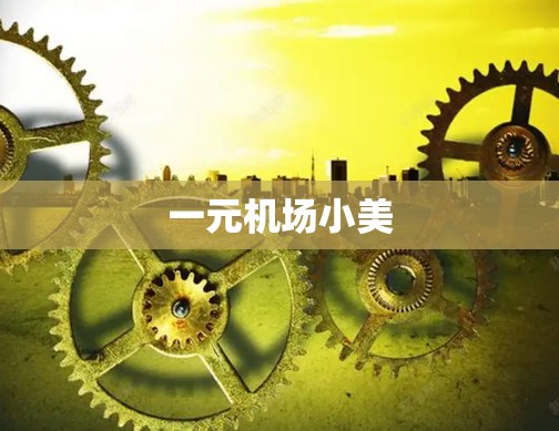 一元机场小美