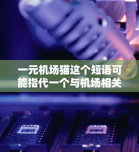 一元机场猫这个短语可能指代一个与机场相关的主题或设定，具体含义取决于上下文。以下是一些可能的解释