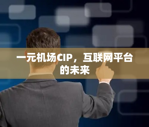 一元机场CIP，互联网平台的未来