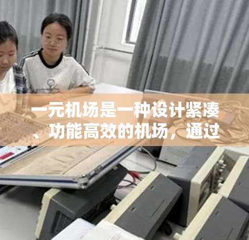 一元机场是一种设计紧凑、功能高效的机场，通过先进的技术和管理方法，通常能够缩短乘客的排队时间。以下是对一元机场的一些详细说明