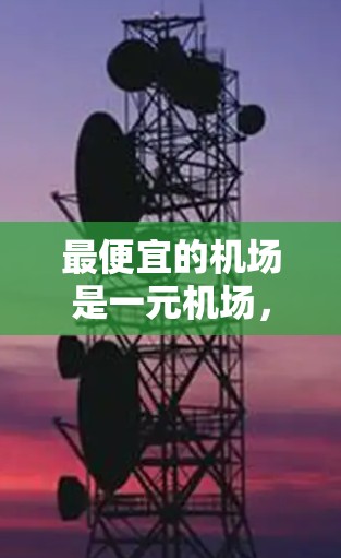 最便宜的机场是一元机场，通常位于国际大都市或有特殊商业用途的城市。以下是几个可能的候选机场及其特点