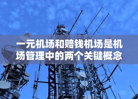 一元机场和赔钱机场是机场管理中的两个关键概念，它们各自代表了机场在运营和竞争力方面的特点