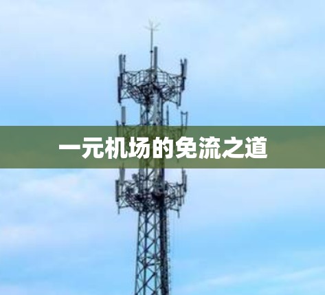 一元机场的免流之道