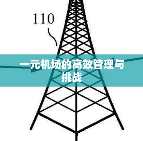 一元机场的高效管理与挑战
