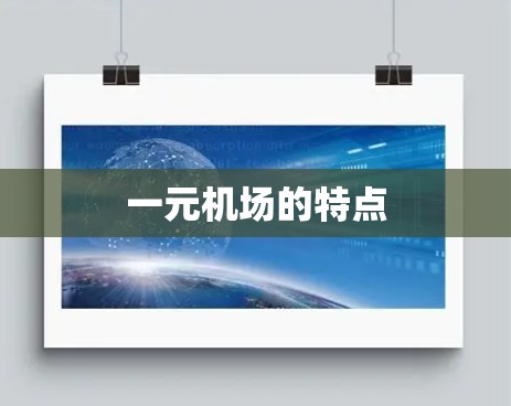 一元机场的特点