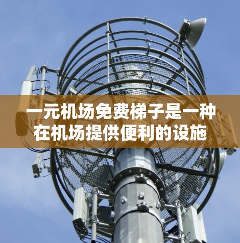 一元机场免费梯子是一种在机场提供便利的设施，允许乘客使用免费的梯子登机或换乘。以下是对其使用的详细分析