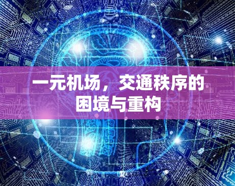 一元机场，交通秩序的困境与重构