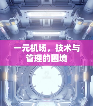 一元机场，技术与管理的困境