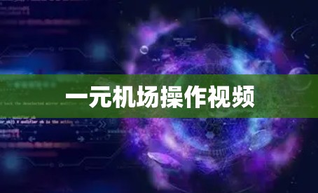 一元机场操作视频