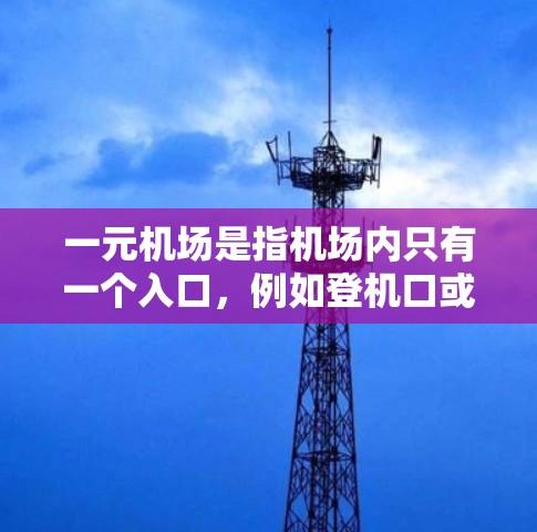 一元机场是指机场内只有一个入口，例如登机口或起降机，这样可以确保乘客的体验更便捷。通常，一元机场会比多元机场更迅速，因为没有人需要等待其他人使用入口。然而，是否一元机场取决于机场的具体设计和规划