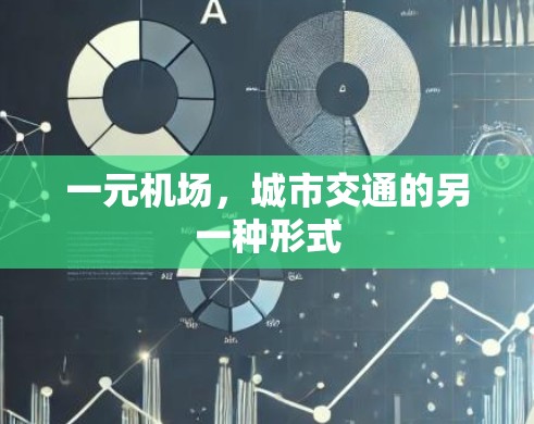 一元机场，城市交通的另一种形式