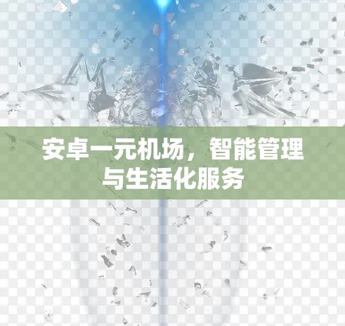 安卓一元机场，智能管理与生活化服务