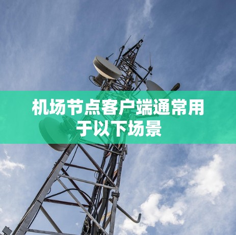 机场节点客户端通常用于以下场景