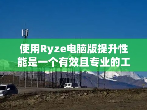 使用Ryze电脑版提升性能是一个有效且专业的工具，适合对电脑性能有提升需求的用户。以下是详细的步骤指南