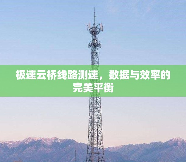 极速云桥线路测速，数据与效率的完美平衡