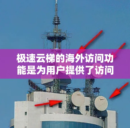 极速云梯的海外访问功能是为用户提供了访问其他国家云资源的便捷入口，主要通过HTTPS连接到国际化的云存储平台。以下是该功能的详细分析