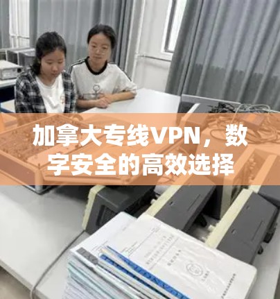 加拿大专线VPN，数字安全的高效选择