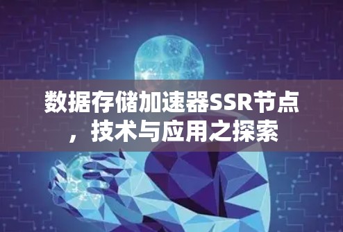 数据存储加速器SSR节点，技术与应用之探索