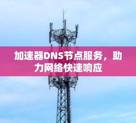 加速器DNS节点服务，助力网络快速响应
