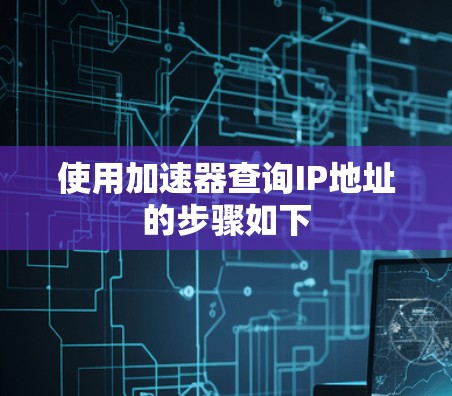 使用加速器查询IP地址的步骤如下