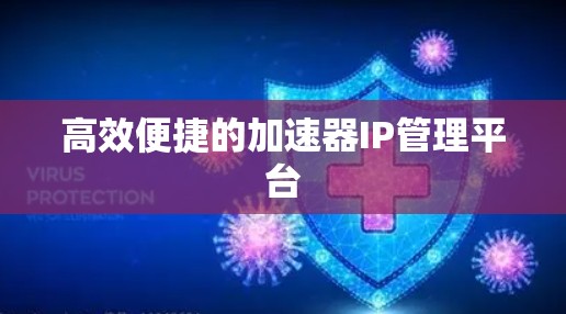 高效便捷的加速器IP管理平台