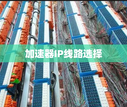 加速器IP线路选择