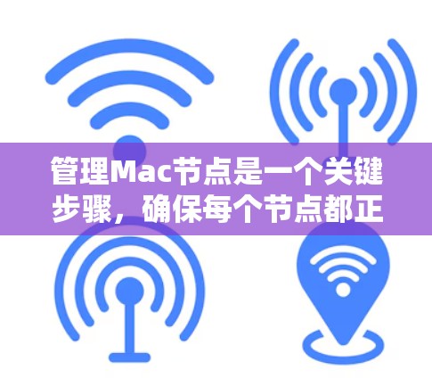 管理Mac节点是一个关键步骤，确保每个节点都正确配置并共享IP地址，以优化性能。以下是一个详细的步骤指南，帮助您顺利管理Mac节点