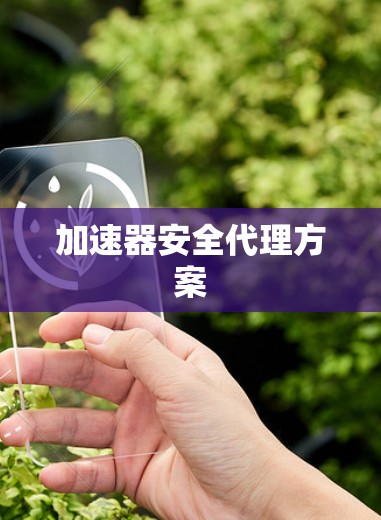 加速器安全代理方案