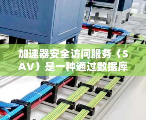 加速器安全访问服务（SAV）是一种通过数据库安全控制来保护用户数据的访问机制。它允许用户在安全访问服务器上执行任何操作，同时保护了用户的数据安全。以下是关于SAV的详细解释