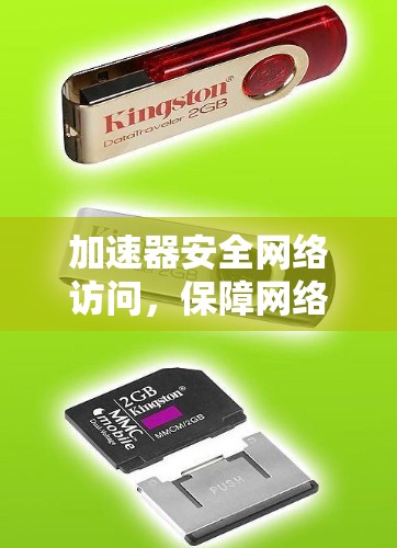加速器安全网络访问，保障网络安全的创新技术