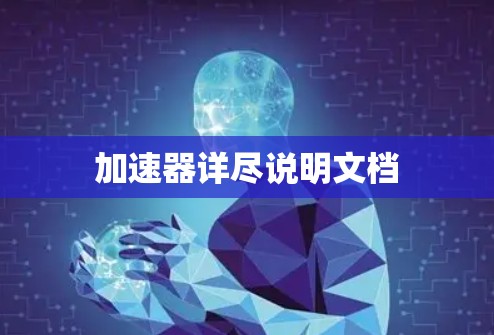 加速器详尽说明文档