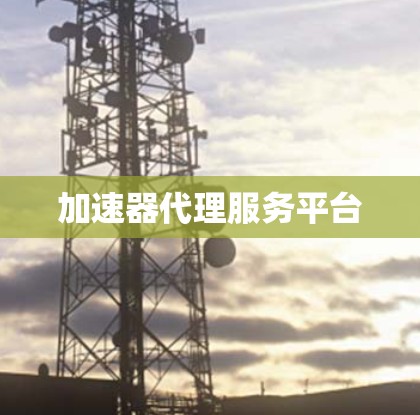 加速器代理服务平台