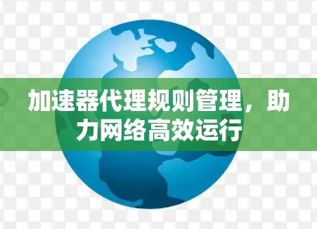 加速器代理规则管理，助力网络高效运行