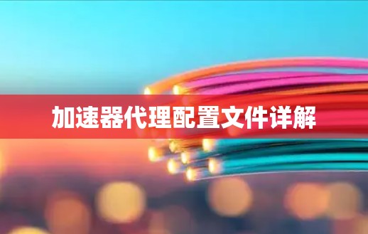 加速器代理配置文件详解