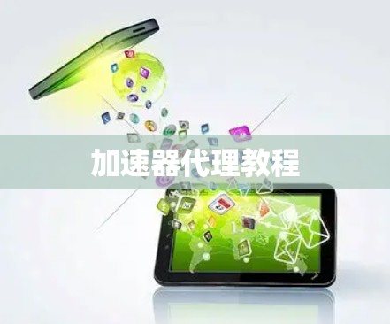加速器代理教程