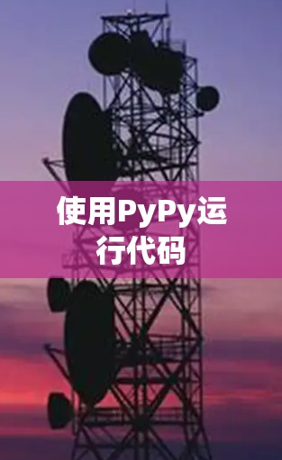 使用PyPy运行代码