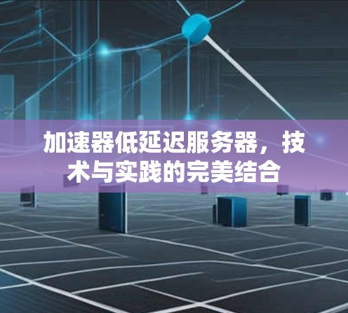 加速器低延迟服务器，技术与实践的完美结合
