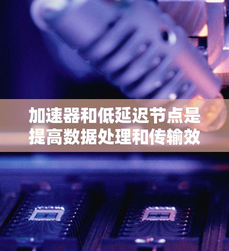 加速器和低延迟节点是提高数据处理和传输效率的关键工具，各自在硬件和技术实现上有所不同，但都能在特定场景中发挥重要作用。以下是对这两个概念的详细分析