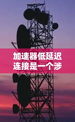 加速器低延迟连接是一个涉及网络优化的复杂问题，以下是对该问题的分步解决方案