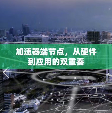 加速器端节点，从硬件到应用的双重奏