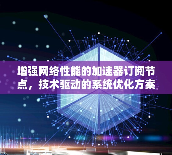 增强网络性能的加速器订阅节点，技术驱动的系统优化方案
