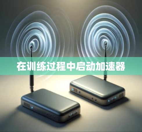 在训练过程中启动加速器